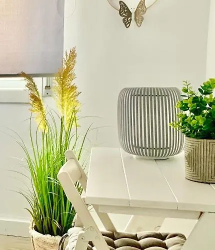 Apartment Grey House - Feel The Vibe Vigo